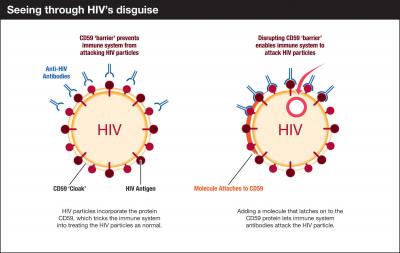 Seeing Through HIV's Disguise