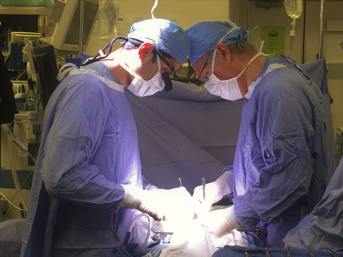 Penn Medicine physicians conducting kidney transplant