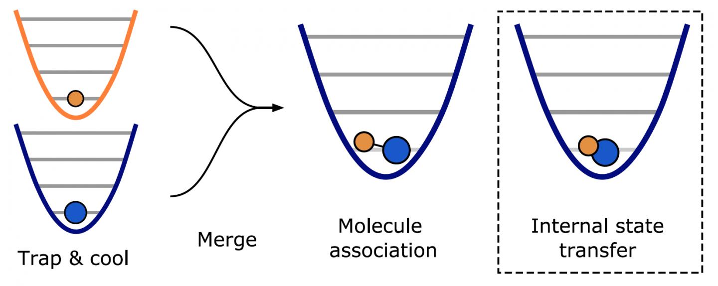 Molecular assembly of ultracold atoms
