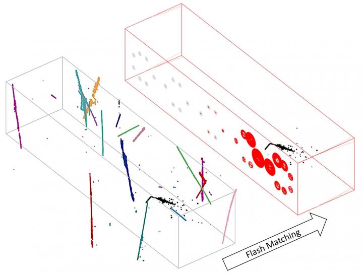 MicroBooNE detector particle tracks