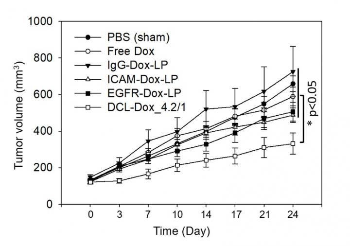 Curbing Tumor Growth