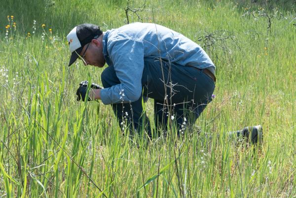 Magne Friberg, Lund University