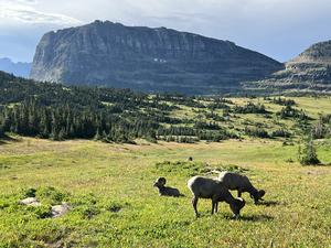 Glacier National Park