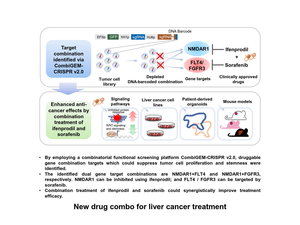 New drug combo for liver cancer treatment