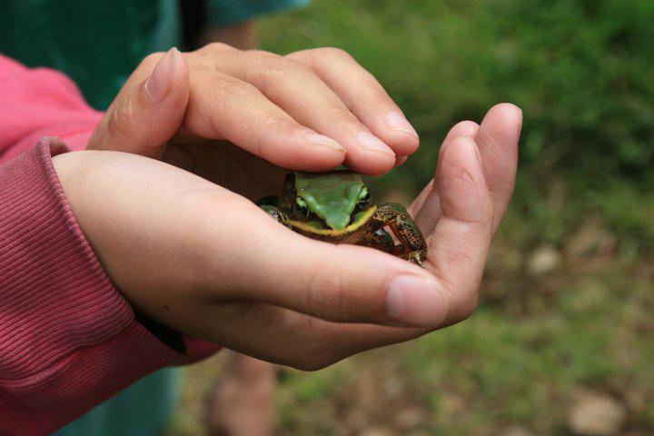 Wildlife Conservation in Good Hands?