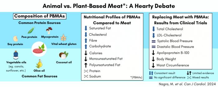 Plant-based meat alternatives (PBMAs) have a more cardioprotective nutritional profile and have been shown to improve cardiovascular risk factors compared to meat