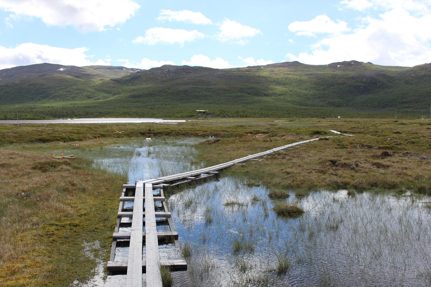 Thawing permafrost