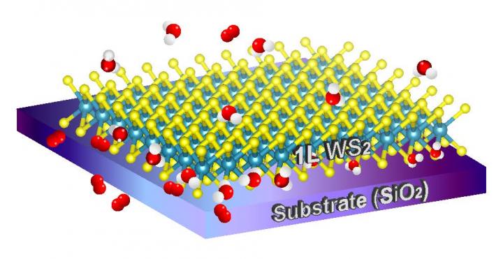 A Two-Dimensional Material on a Single-Layer of Tungsten Disulfide