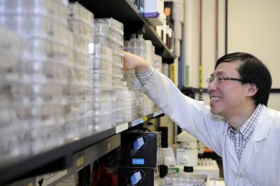 Kenneth Ng, University of Calgary