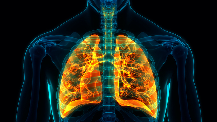 Hypoxia's effects on the lungs