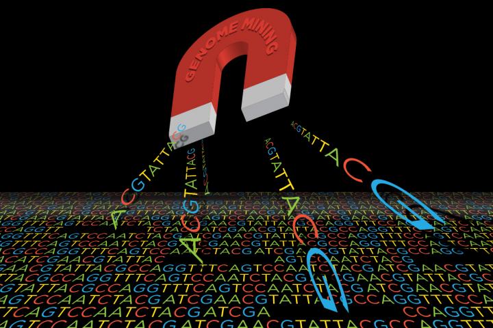 Genome Mining