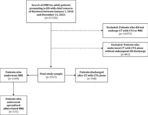 Flow of patient selection for analysis