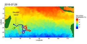 video-of-debris-partial-drift-simulation-indian-ocean