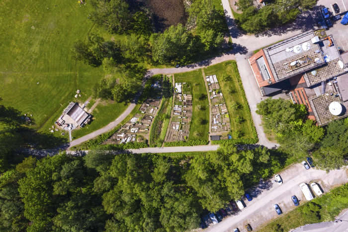 Garden allotment plots on the Aalto University campus in Otaniemi.