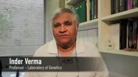 Discovery Links 'Breast Cancer Gene' & Brain Development