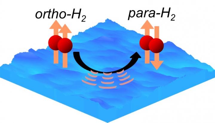 Ortho-To-Para Conversion of Molecular Hydrogen on an Extremely Low Temperature Ice Surface