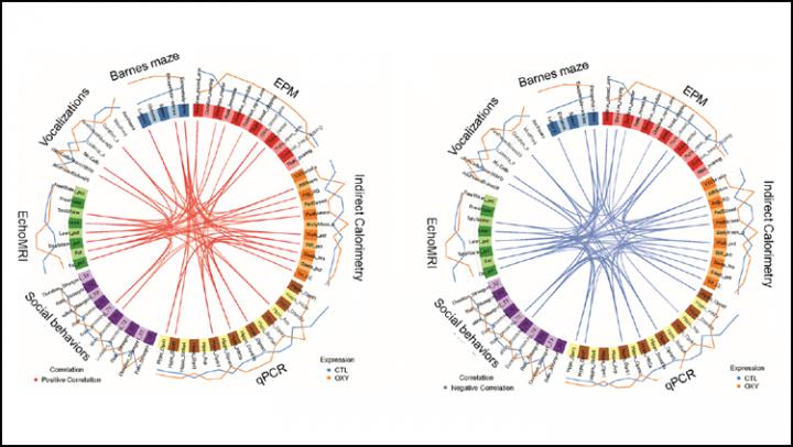 Administering Opioids to Pregnant Mice Alters Behavior and Gene Expression in Offspring