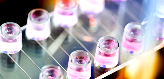 The complex dynamics of stem cell tethers and slings