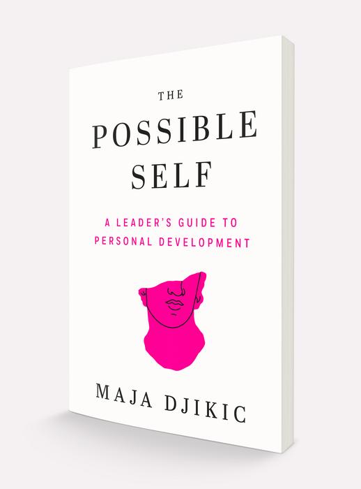 The Possible Self