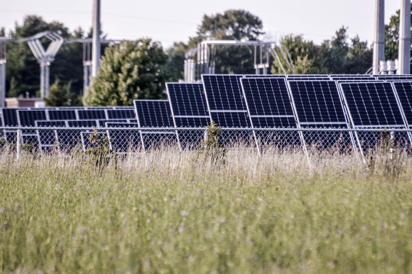 Solar Farm