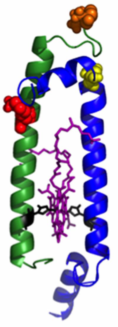Module for the Construction of Biohybrid Light-Harvesting Antennas