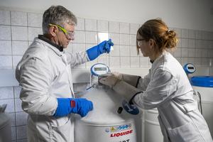 Cryostorage of biomaterial at the Leibniz-IZW