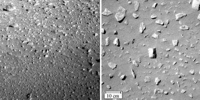 Spirit Rover Images of Martian Rocks