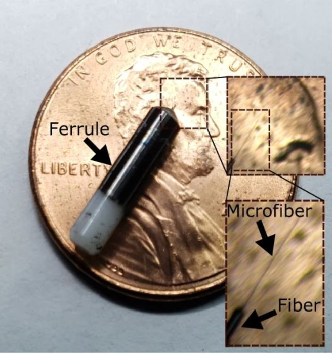 Ultra-thin, flexible neural probe by UC San Diego and Salk Institute