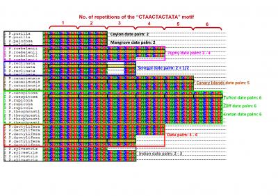Comparison of DNA Barcode