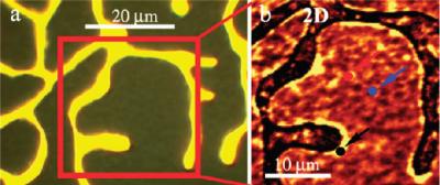 CVD Graphene on Copper