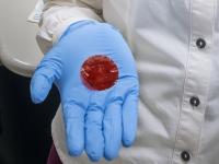 Material Soaks Up Liver Cancer Drug to Reduce Risk of Harmful Side Effects