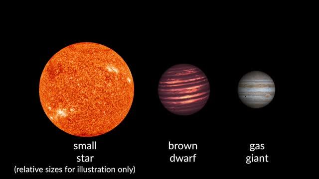 Brown Dwarfs