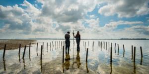 Setting up a large-scale field experiment in de Oosterschelde.