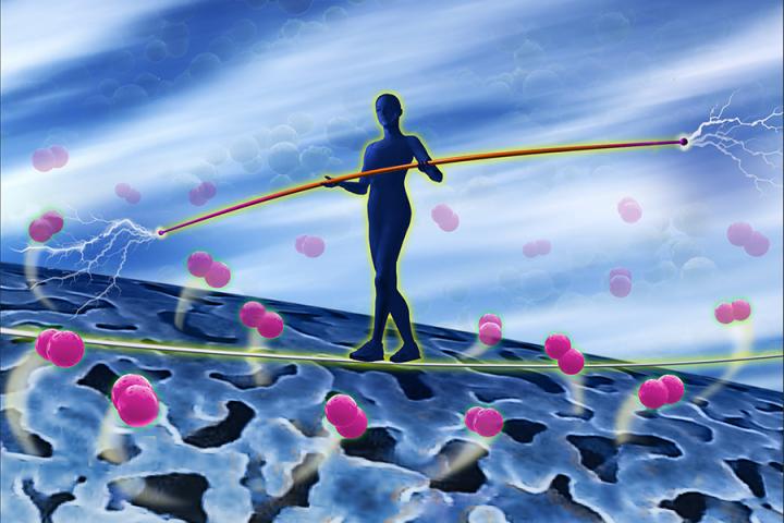 Iridium Catalysis Balance