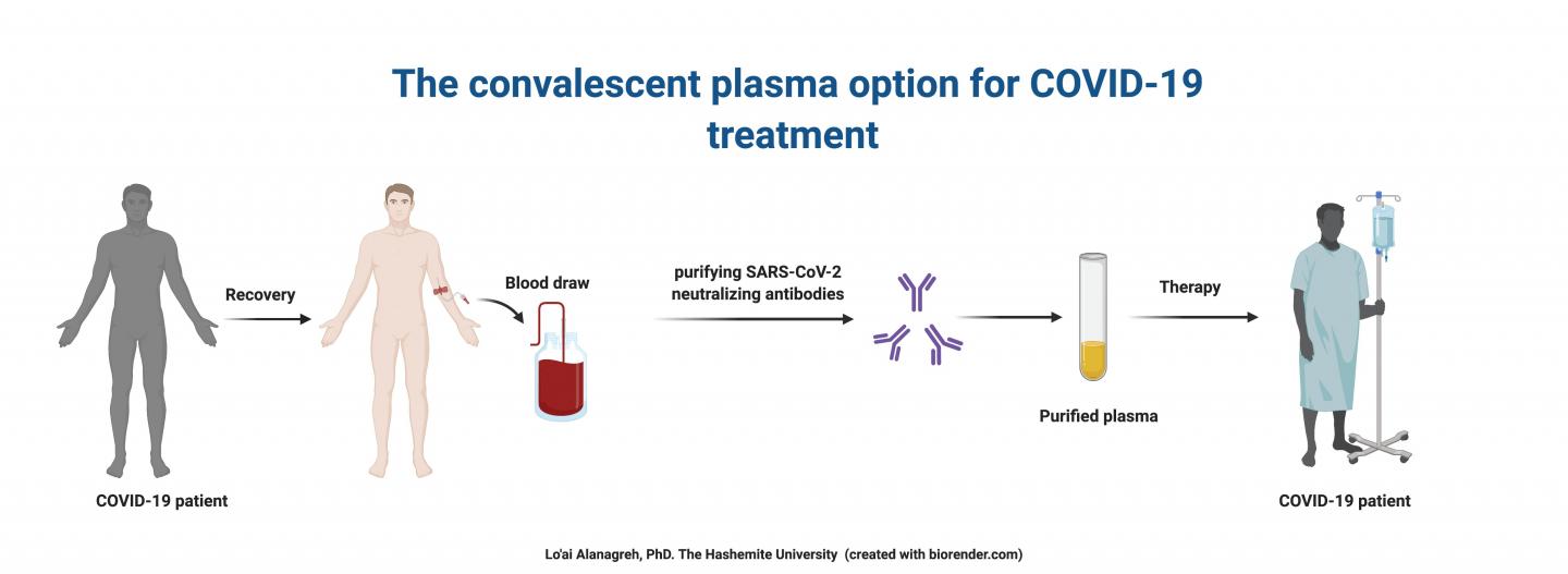 The convalescent plasma option for COVID-19 treatment. Credit: Lo'ai Alanagreh, PhD, The Hashemite University