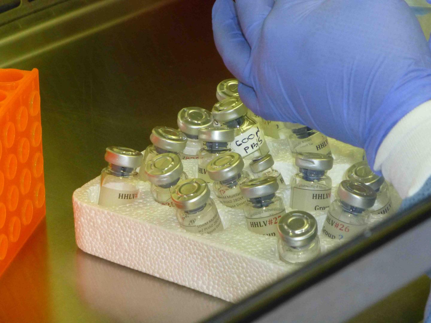 Heroin Vaccine Laboratory Vials