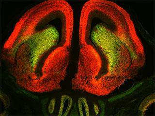 Defying Expectations