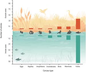 Carrion types and locations in the articles