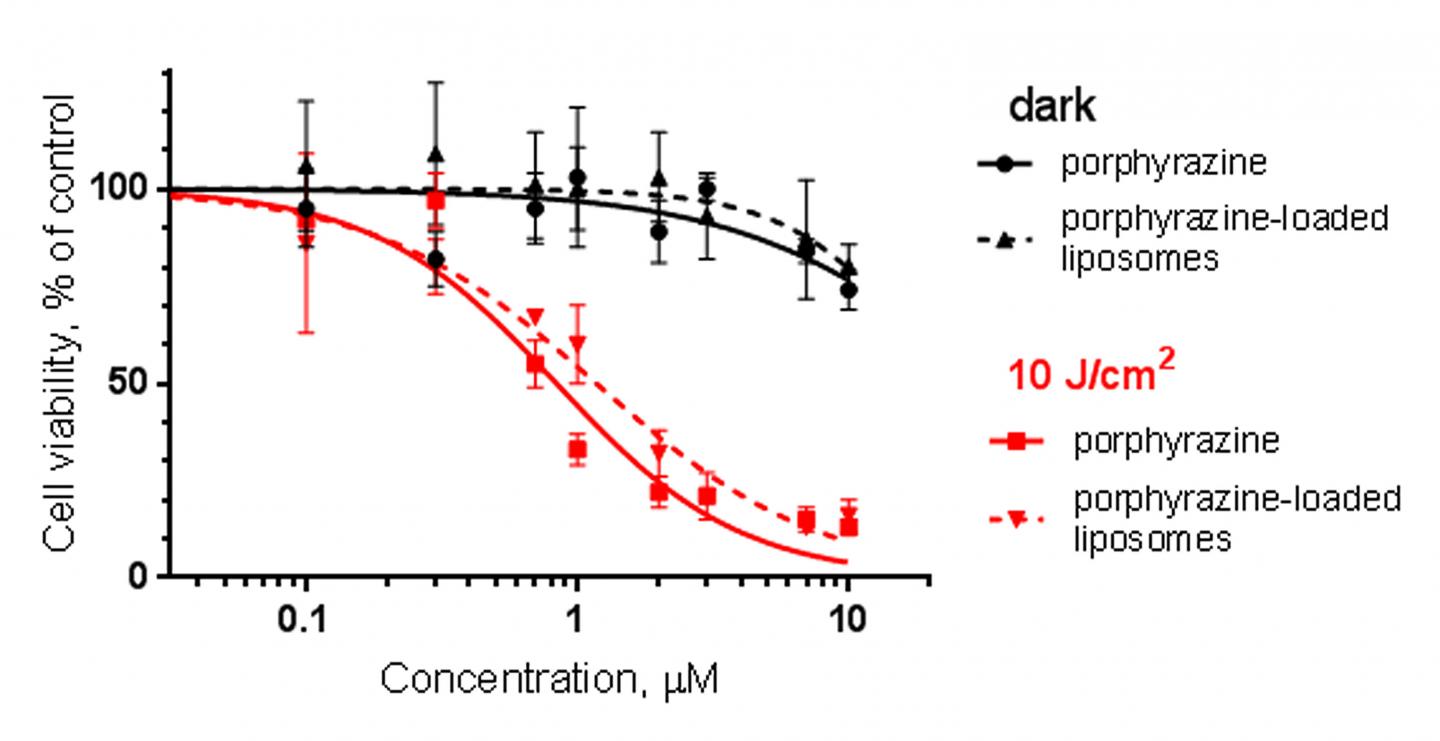 In Vitro Analysis of Photoinduced and Dark Toxicity of Porphyrazine
