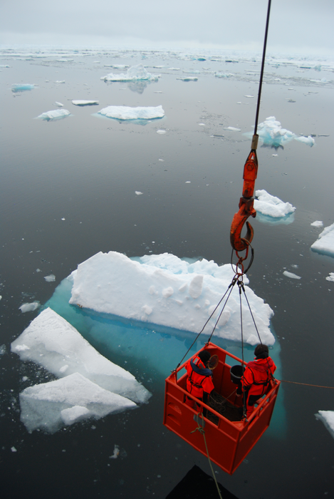 Scientists sampling under-ice phytoplankton communities.