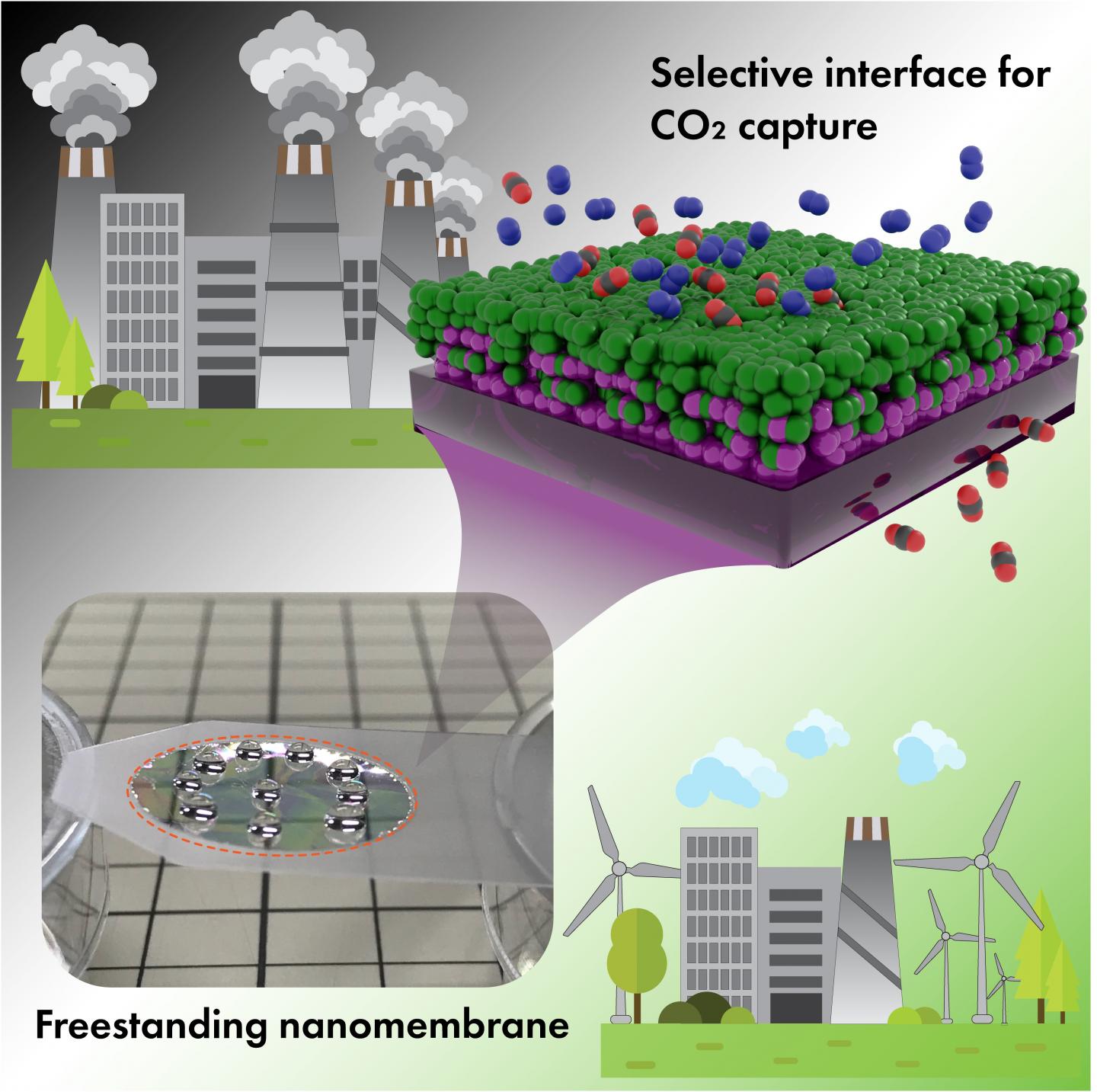 CO2 Capture Membrane