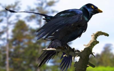 Reconstruction of a Lone <I>Microraptor</I> in a Forest