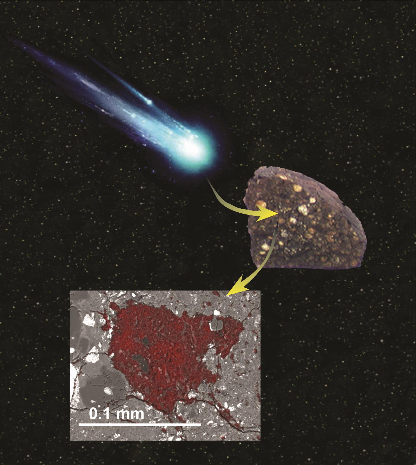 Cometary Surprise Found inside Meteorite