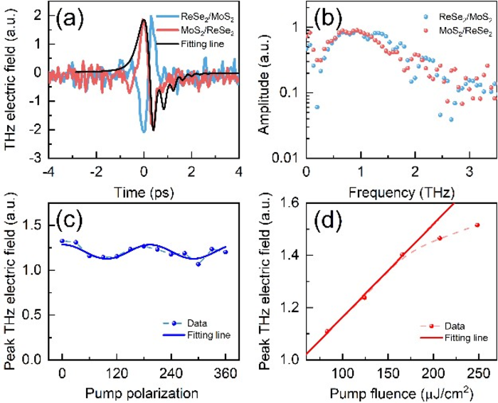 Researchers Identified the Ultrafast Dynamics in Monolayer MoS2/ReSe2 Heterostructures