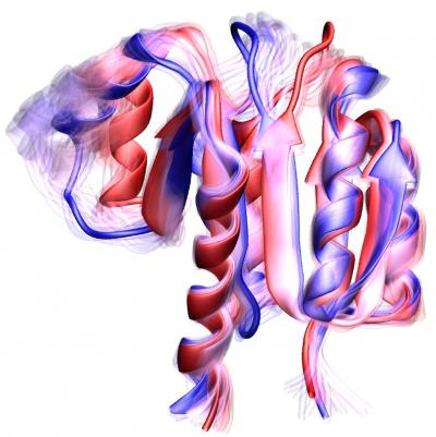 The Summit of Protein Dynamics