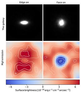 Stellar winds regulate growth of galaxies