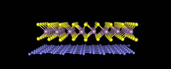 Force Used by Geckos Binds Two Single-Atom Layers
