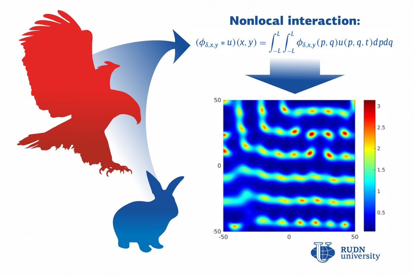 Refined the Model of Predator-Prey Relations in the Wild