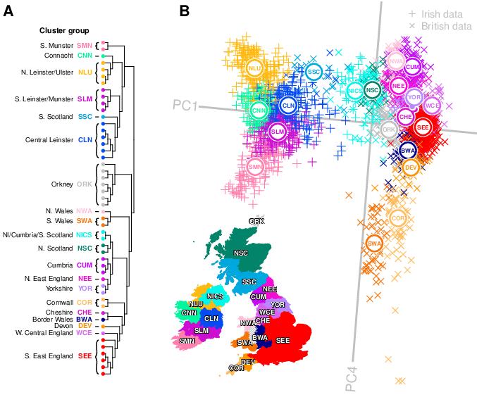 Genes Mirror Geography in the British Isles