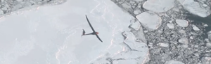 Vanilla flying over sea ice off Alaska’s North Slope